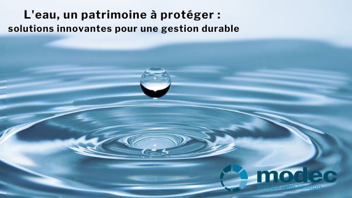 La gestion patrimoniale des réseaux d'eau potable: