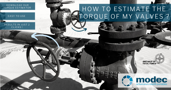 Download our simple torque estimator ! 